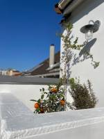 COLAS RAPHAËL - CABANE(S) ARCHITECTURE